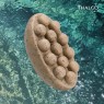 Отшелушивающее морское мыло, Savon marin exfoliant